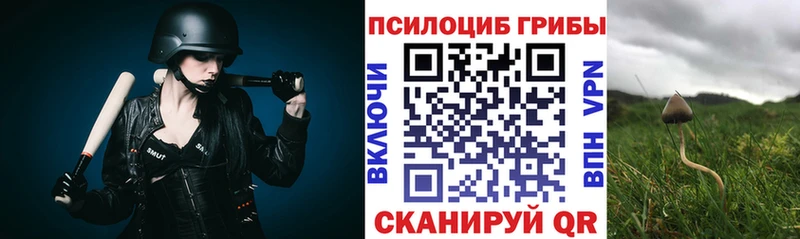 Галлюциногенные грибы мухоморы  Кингисепп 